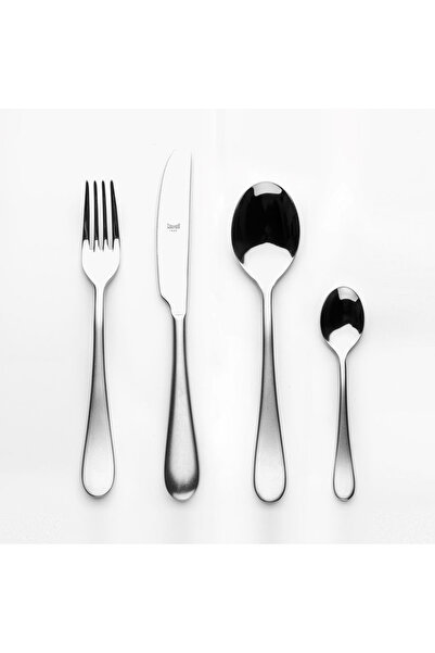 Mepra Set Tacam 24Pcs Manico Natura Frozen - argintiu