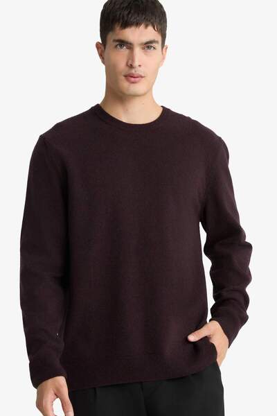 DeFacto 100% Wool Standard Fit Crew Neck Sweater F3127Ax25Wn