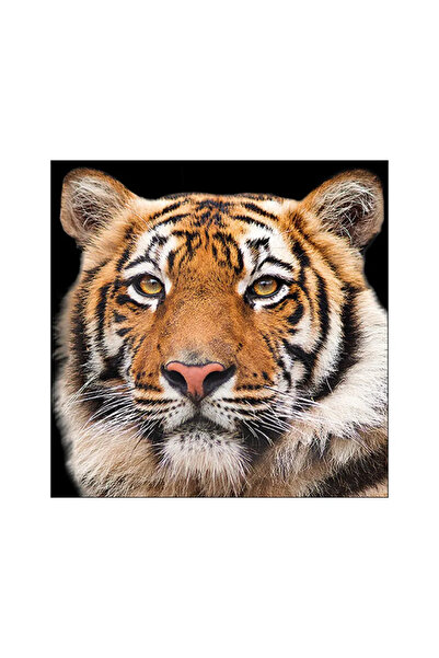 Ambiente Servetele masa 33x33cm Bengal tiger FSC Mix