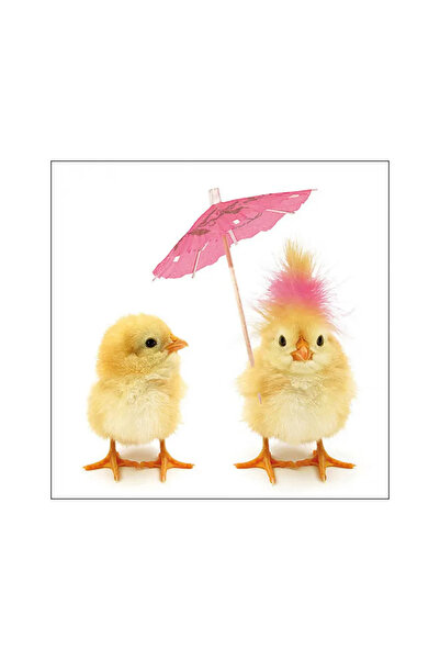 Ambiente Șervețele de masă 33x33 cm Pui de Paște FSC Mix