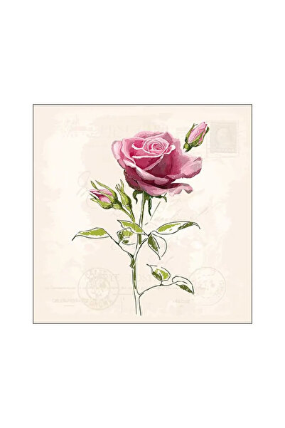 Ambiente Table napkins 33x33 cm Vintage Rose FSC Mix