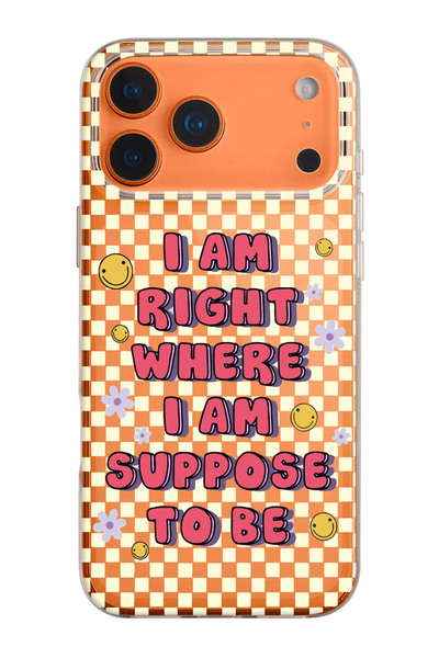 shoptocase iPhone 17 Pro Compatible Checkerboard Smile Pattern Transparent Silicone Phone Case