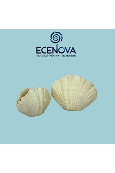 VAZO DEKOR MİDYE KABUĞU Formlu Vazo 3D DEKORATİF STİL OBJE - ECENOVA