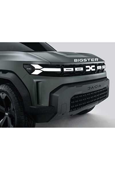 Oracal Car sticker written Bigster for hood or body, 30cm, copper