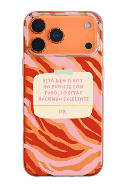 shoptocase iPhone 17 Pro Compatible Esta Bien Printed Transparent Silicone Phone Case