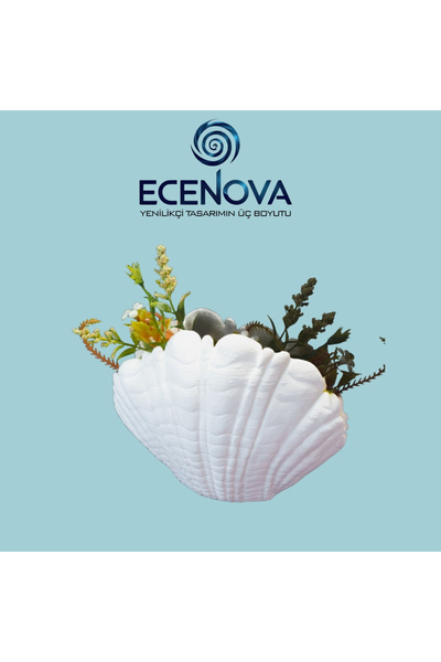 VAZO DEKOR MİDYE KABUĞU Formlu Vazo 3D DEKORATİF STİL OBJE - ECENOVA