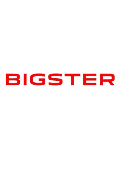 Oracal Car sticker written Bigster for hood or body, 30cm, red