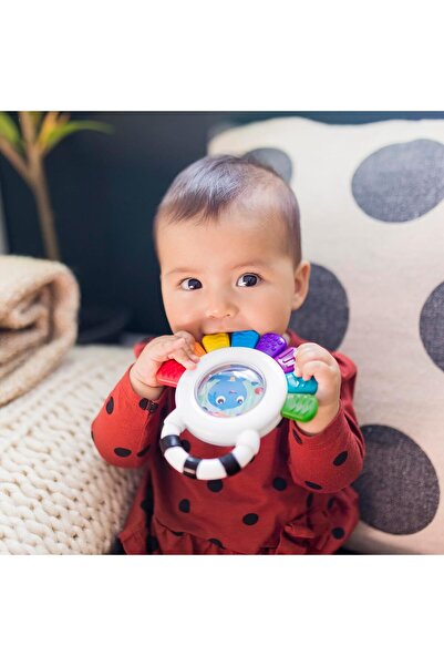 Baby Einstein Outstanding Opus The Octopus Sensory Rattle & Teether, BPA Free, Chillable, 3+ months