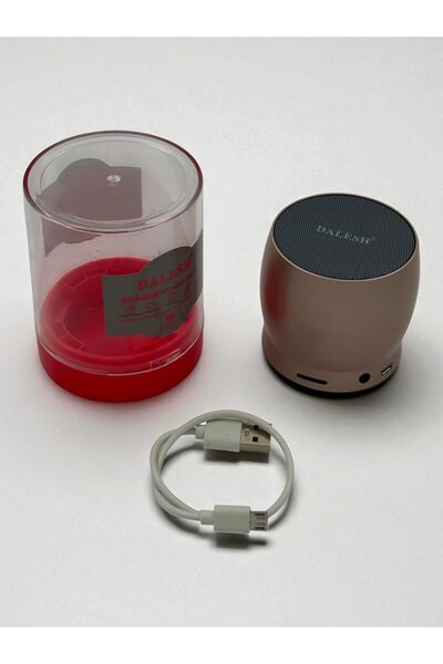 DALESH portable wireless Bluetooth speaker, 5W, brown, with USB charging cable