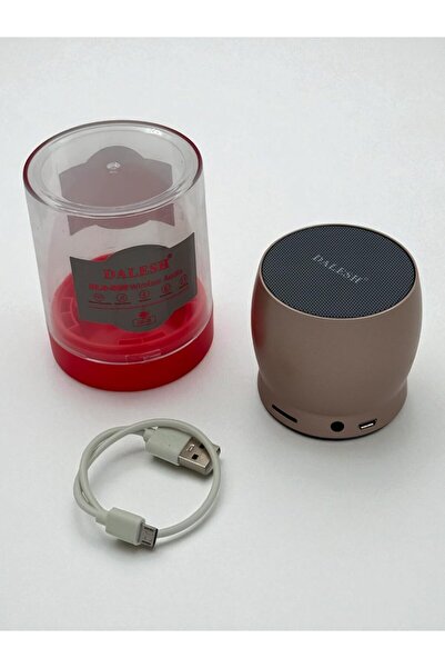 DALESH portable wireless Bluetooth speaker, 5W, brown, with USB charging cable