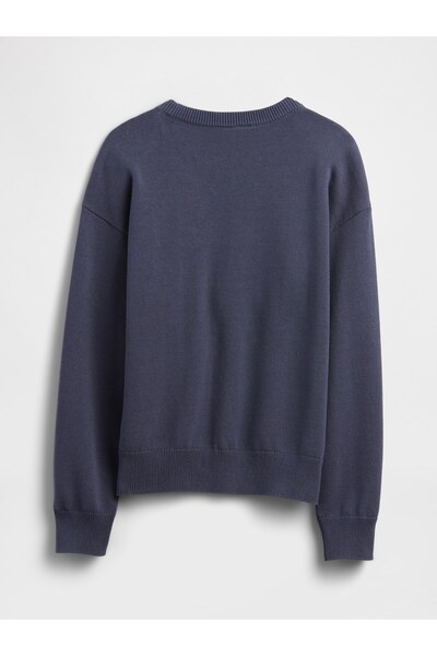 GAP Erkek Çocuk Mavi Intarsia Kazak