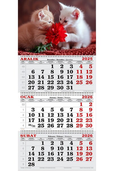 GENC DIJITAL BASKI 2026 Yılı Gemici Takvimi- Yavru Kediler ve Kırmızı Çiçek