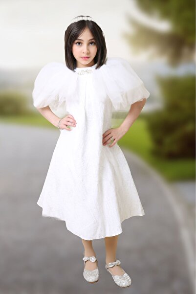 Generic Girls' dress with puffy sleeves