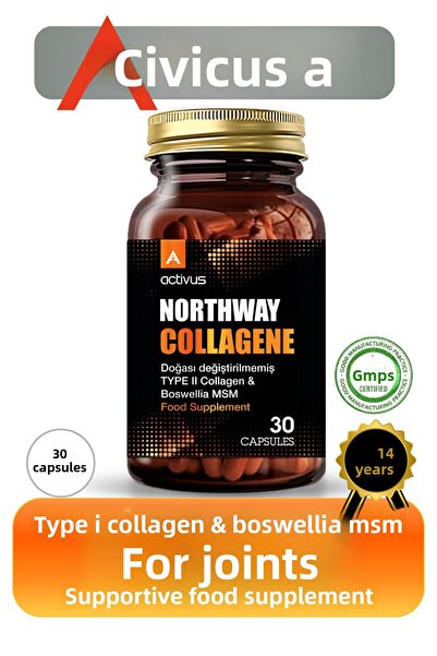 ACTİVUS Northway Collagen Type 2 - Joint Support Full Methylsulfonilmethan Ms...