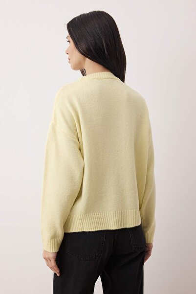 Trendyol Collection Yellow Soft Textured Dog Embroidered Crew Neck Knitwear Sweater Twoaw26Kz00257