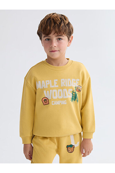 LC Waikiki Ανδρικό παχύ φούτερ Peak New Season με τύπωμα