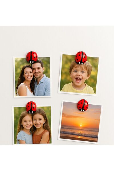 Home 4’lü Taş tozu Uğur Böcekli Magnet Seti – Sevimli, Şık ve Şans Getiren Dekoratif Aksesuar