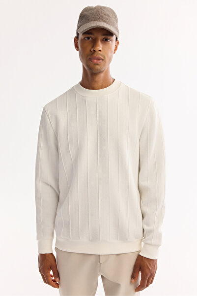 Avva Men's Ecru Crew Neck Striped Elastane Regular Fit Sweatshirt A52Y1218