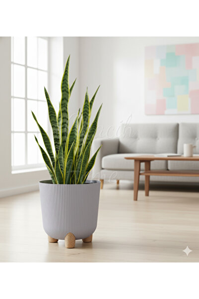 okacih Modern Stick Line Saksı Akıllı Altlıklı 25x25 Cm 9 Litre