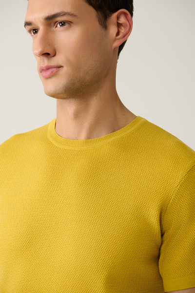 Avva Men's Mustard Crew Neck Textured Knitwear T-Shirt E005027