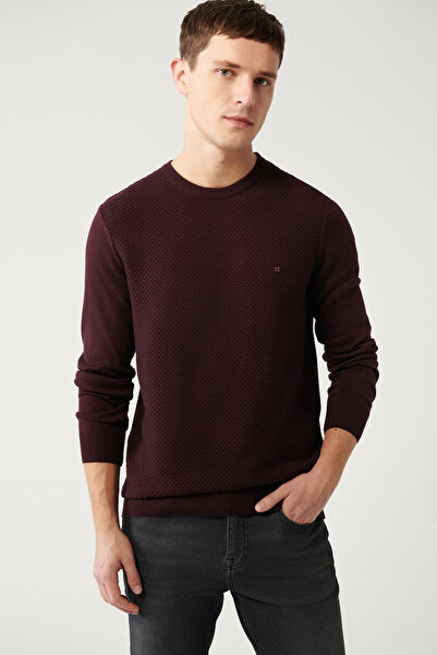 Avva Pulover pentru bărbați, roșu Claret, cu decolteu, din bumbac, tricotaj E 005105