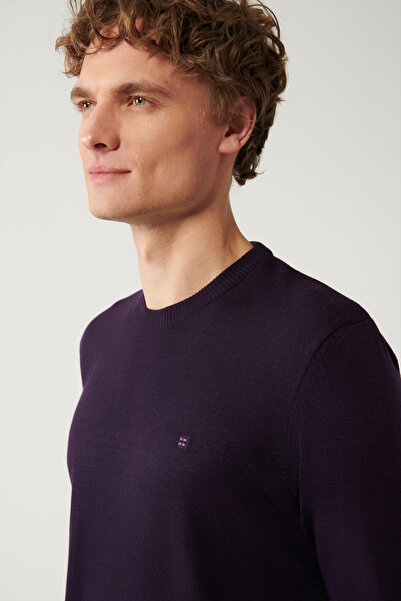 Avva Men's Plum Crew Neck Non-Pilling Knitwear Sweater E 005000