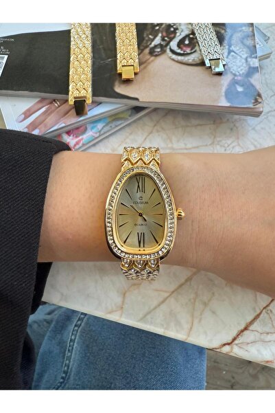 Bluemix Aksesuar Serenay Model Steel Women's Watch(Gifted Product)