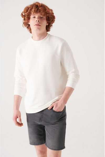Avva Men's Ecru Crew Neck Cotton 2 Thread Non-Rated Sweatshirt E 001200