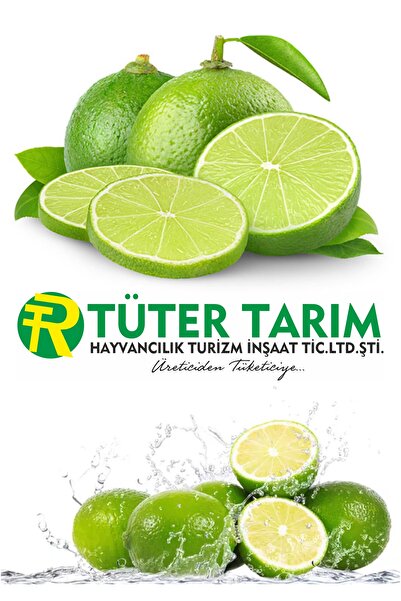 TÜTER TARIM Lime limon 8 adet