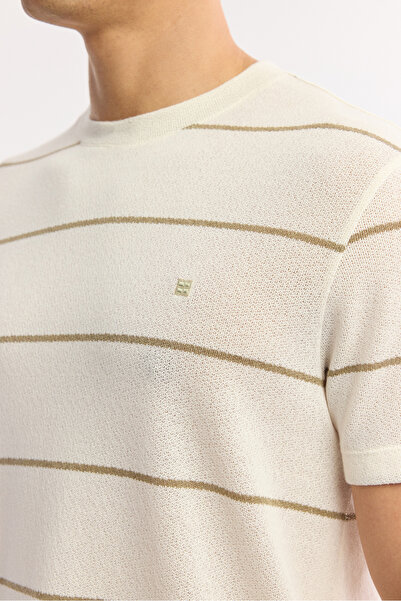 Avva Men's Beige Crew Neck Striped Cotton Regular Fit T-Shirt A51Y1148