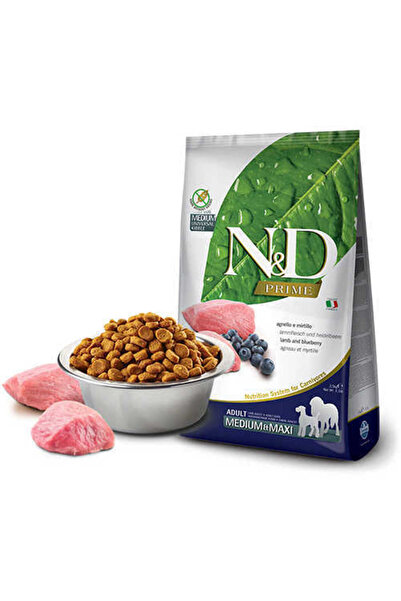 N&D Kuzu Etli Yaban Mersinli Tahılsız Medium Maxi Köpek Maması 2.5 Kg