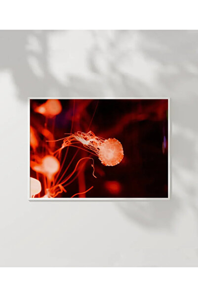 VOGLOO Jellyfish Bubbles Poster