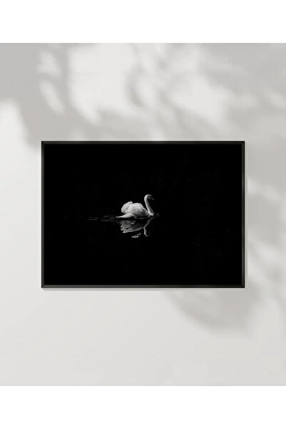 VOGLOO 1. Elegant Swan Poster