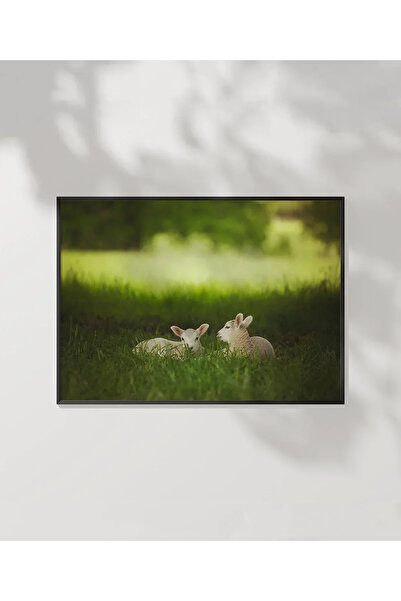 VOGLOO Deer Spring Duo Poster