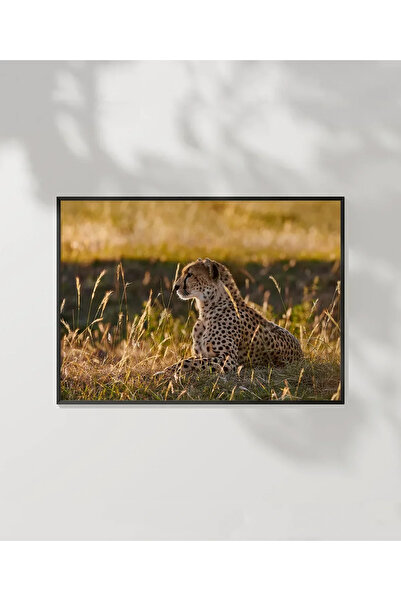 VOGLOO Hunter Leopard Poster