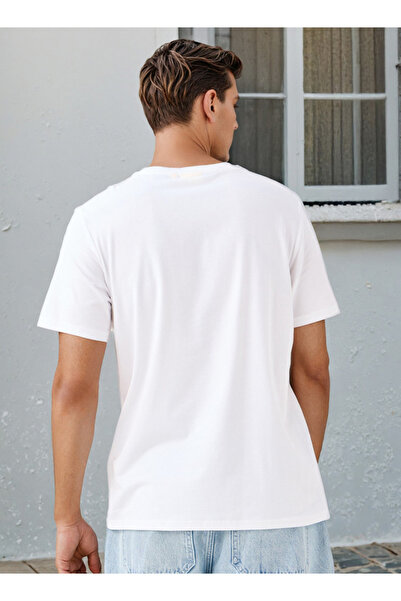 SP Characters Dragon Ball Z Graphic Print T-shirt