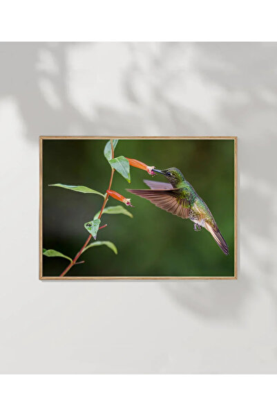 VOGLOO Nectar Banquet Poster