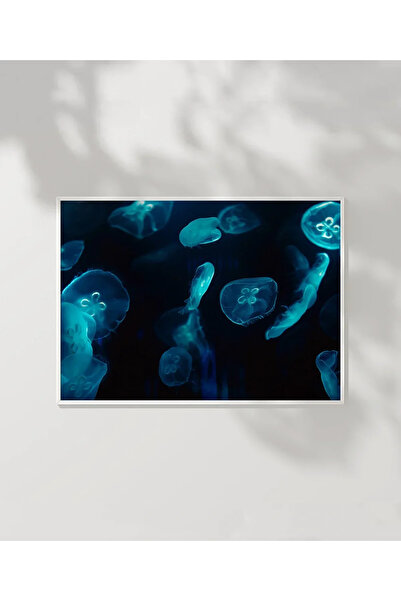 VOGLOO Sea Animals Poster