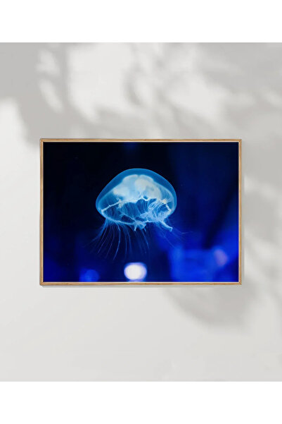 VOGLOO Medusa Floating in Light Poster