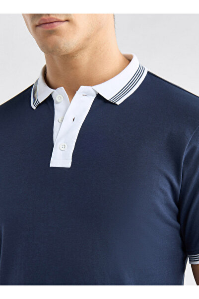 FAV Colourblock Polo T-shirt with Short Sleeves and Button Closure
