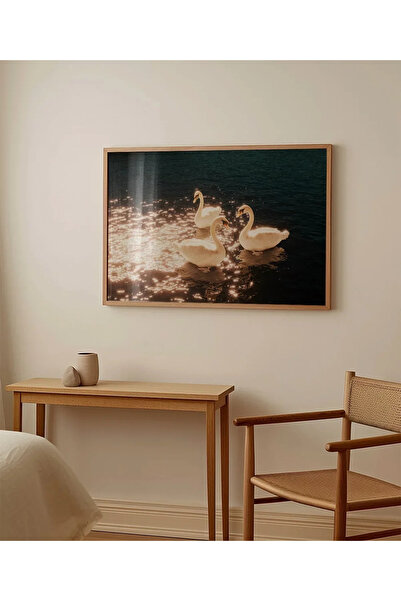 VOGLOO Lake of Swans Poster