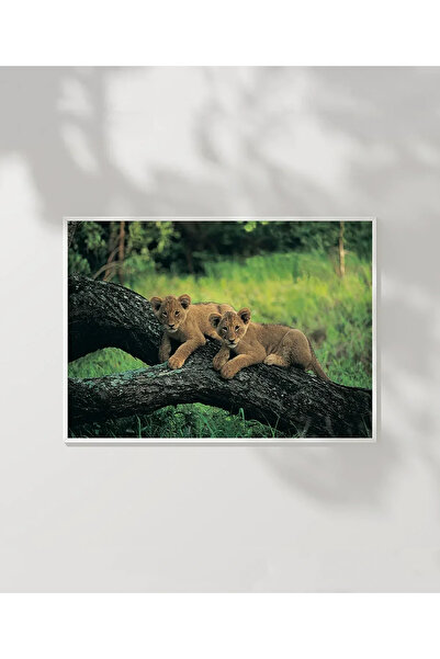VOGLOO Baby Lions Poster