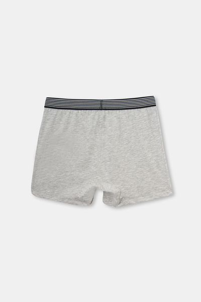 Dagi Γκρι μελανζέ με τύπωμα βαμβακερό μπόξερ