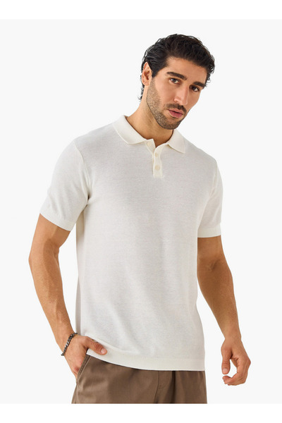 FAV بنية عظم الرنجة