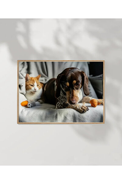 VOGLOO Cat and Dog Friendship Poster