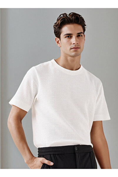 Iconic Men Regular Fit Round Neck Short Sleeves Honeycomb Textured T-shirt