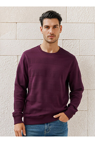 FAV سويت شيرت منقوش