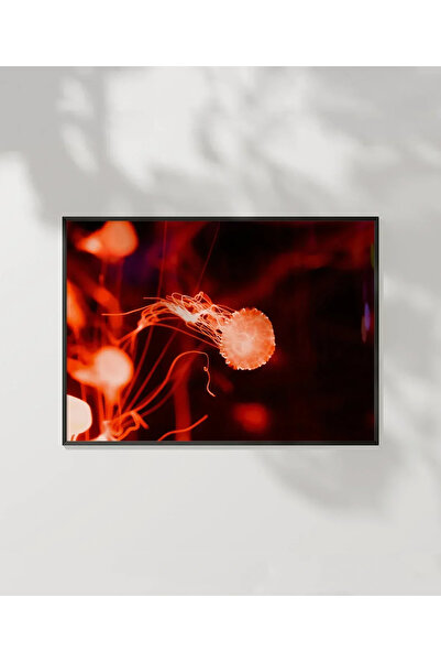 VOGLOO Jellyfish Bubbles Poster