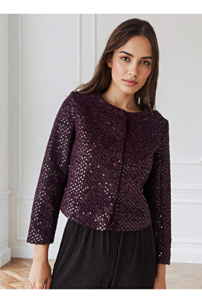 Iconic Big Sequins Jacket