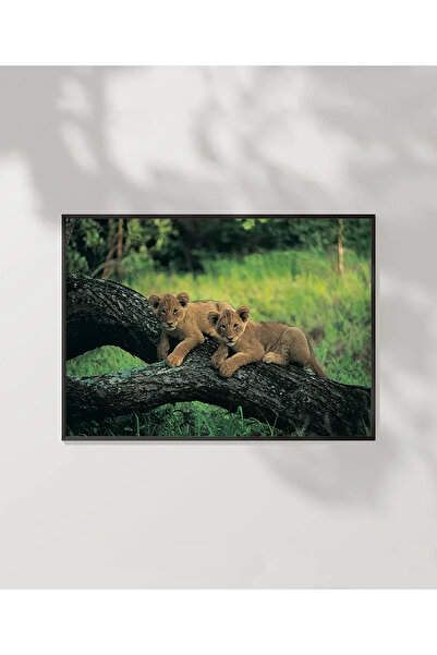 VOGLOO Baby Lions Poster